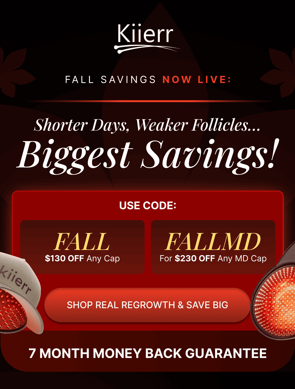 Fall Savings Now LIVE:
