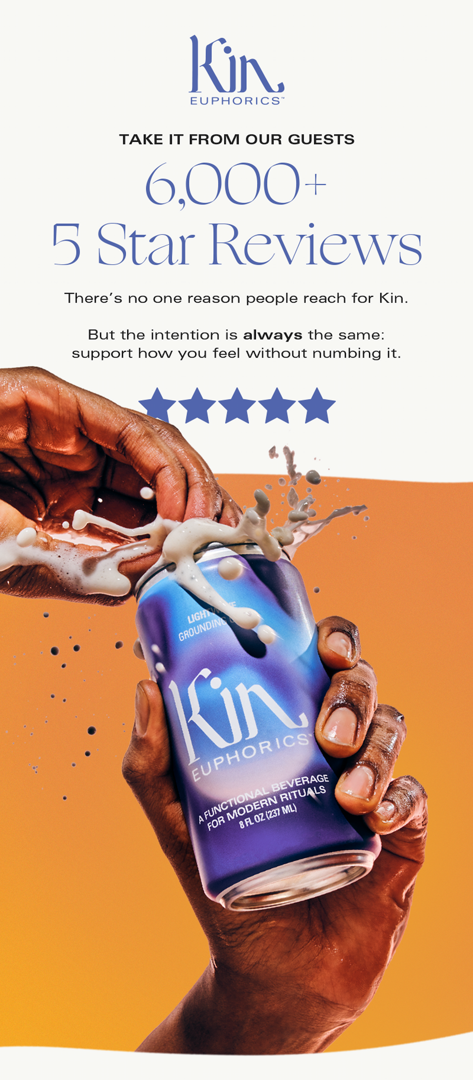 6,000 five star reviews