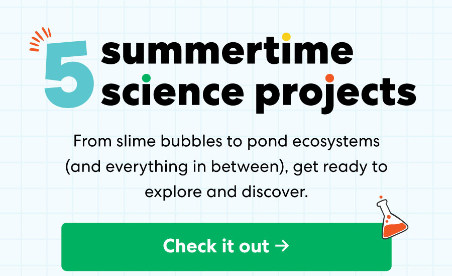 5 summertime science projects