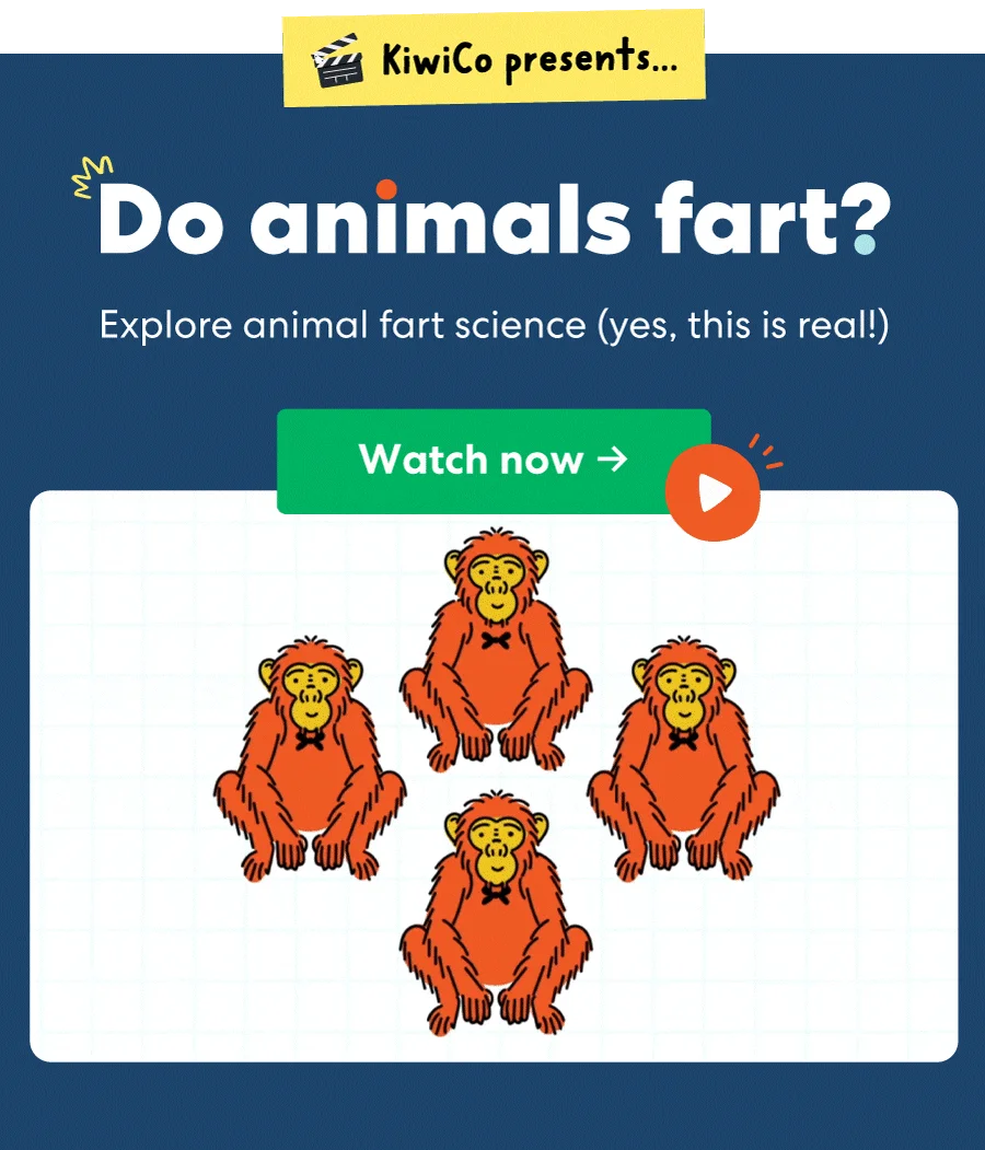 Animal Fart Science (Yes, This Is Real) | KiwiCo