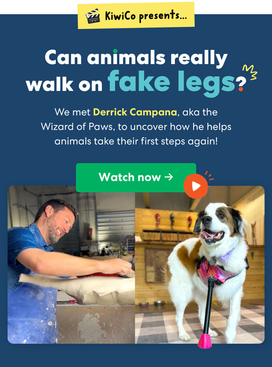 Engineering New Legs for Animals | KiwiCo