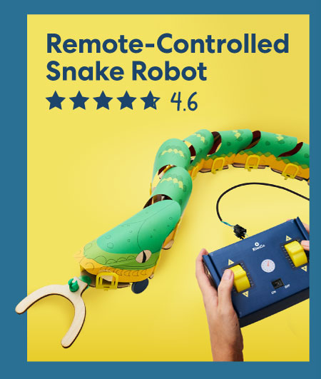 Remote-Controlled Snake Robot