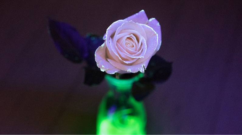 Glow in the Dark Flower