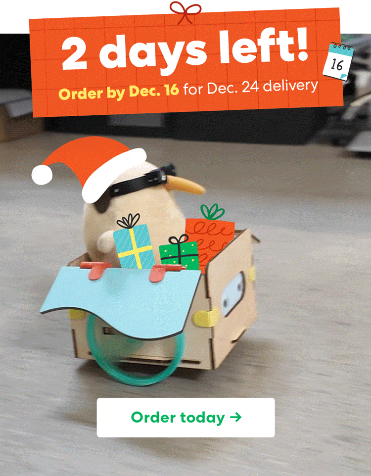 2 days left! Order by Dec 16 for Dec 24 delivery! Use code LASTCALL