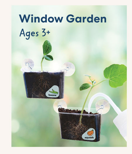 Window Garden