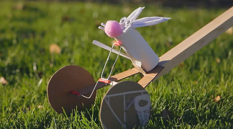 Bunny Automaton
