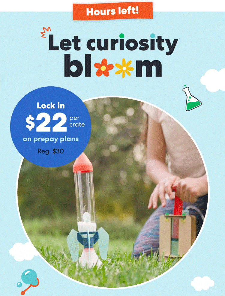 Let curiosity bloom!