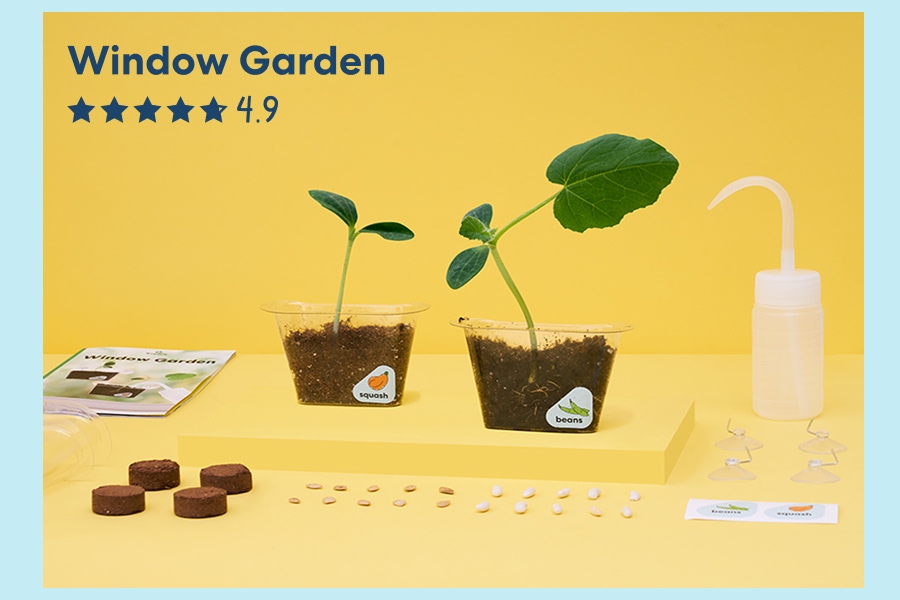 Window Garden