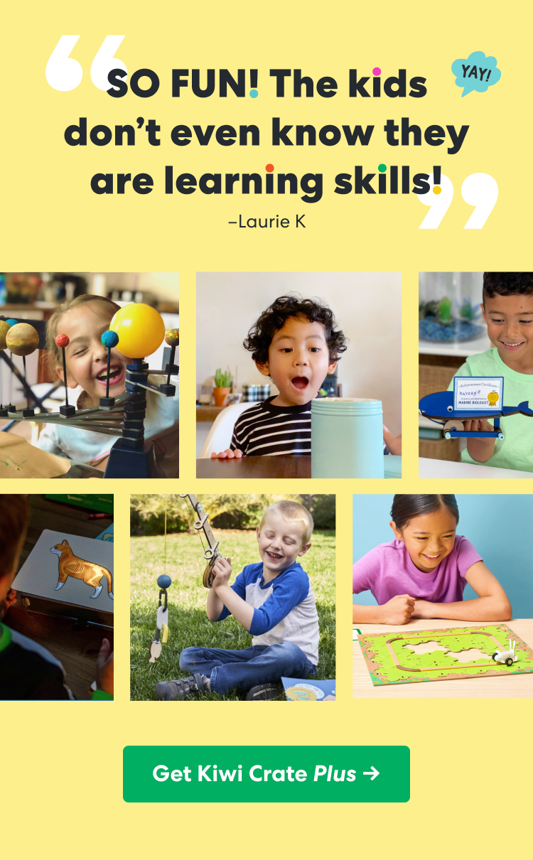 Get Kiwi Crate Plus. SO FUN! The kids don't even know they are learning skills! ~ Laurie K