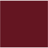 Femme Fatale Faux Wrap Top - Burgundy