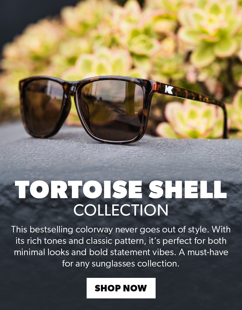  "Tortoise