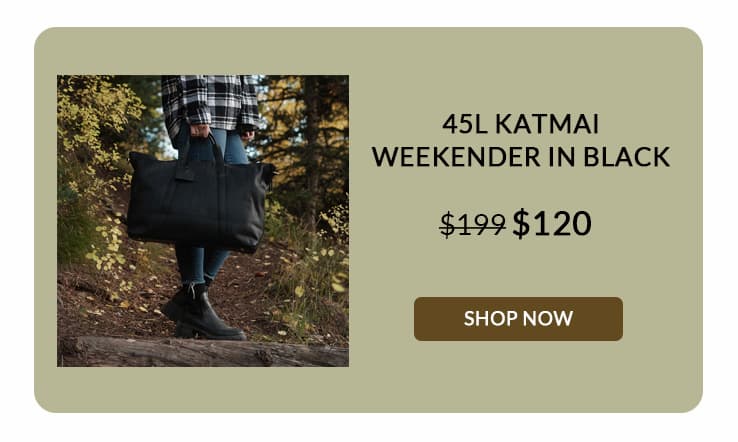 Timeless and practical leather travel bag