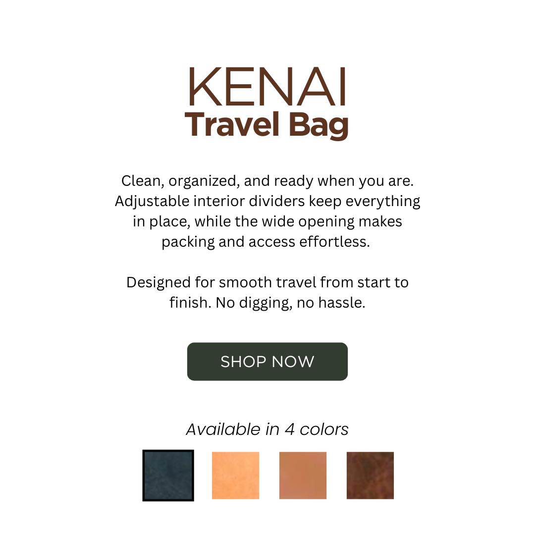 CPAP Travel bag