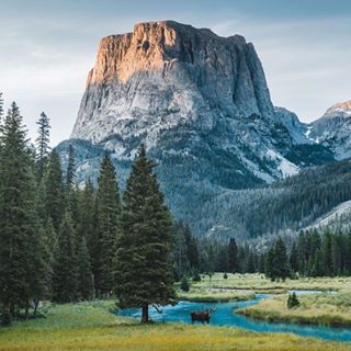 Instagram Feed Image