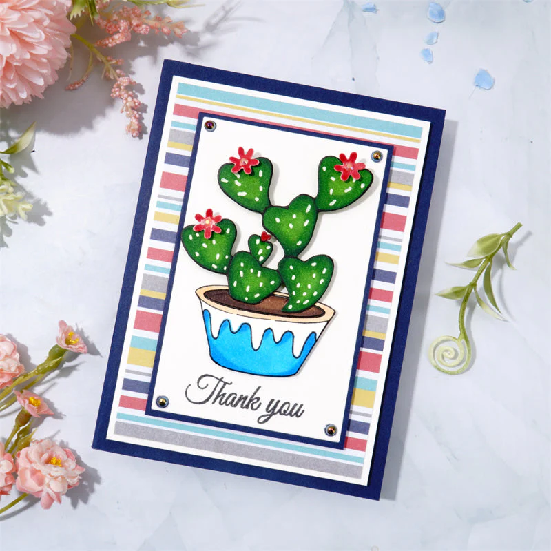 Cactus Potted Plant
