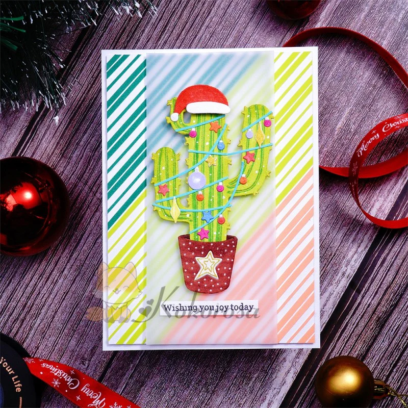 Christmas Cactus