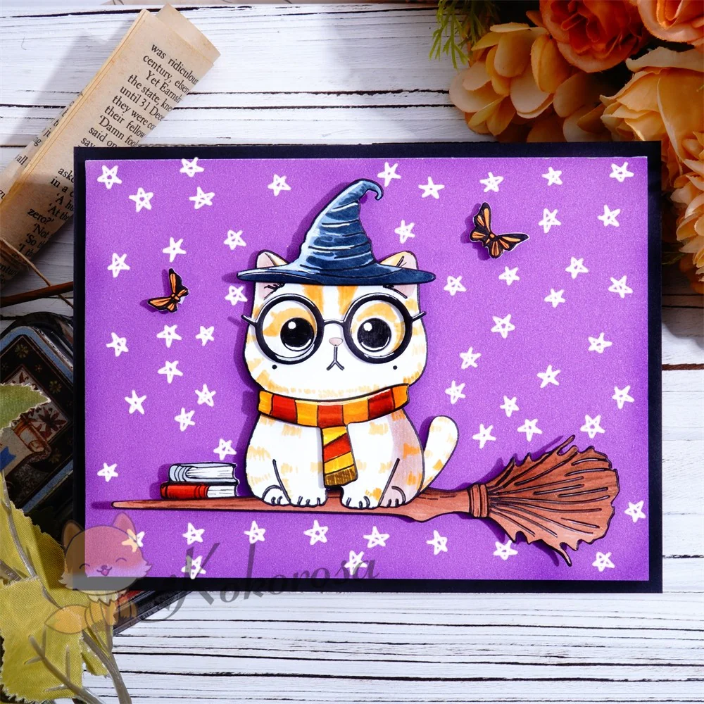 Wizard Cat