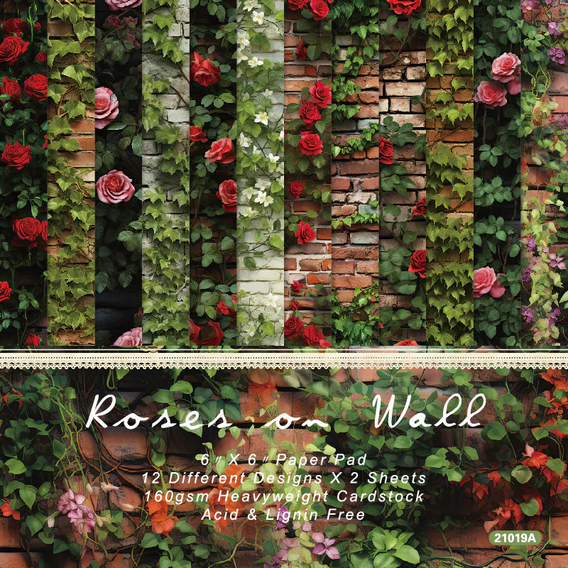 Rose on Wall