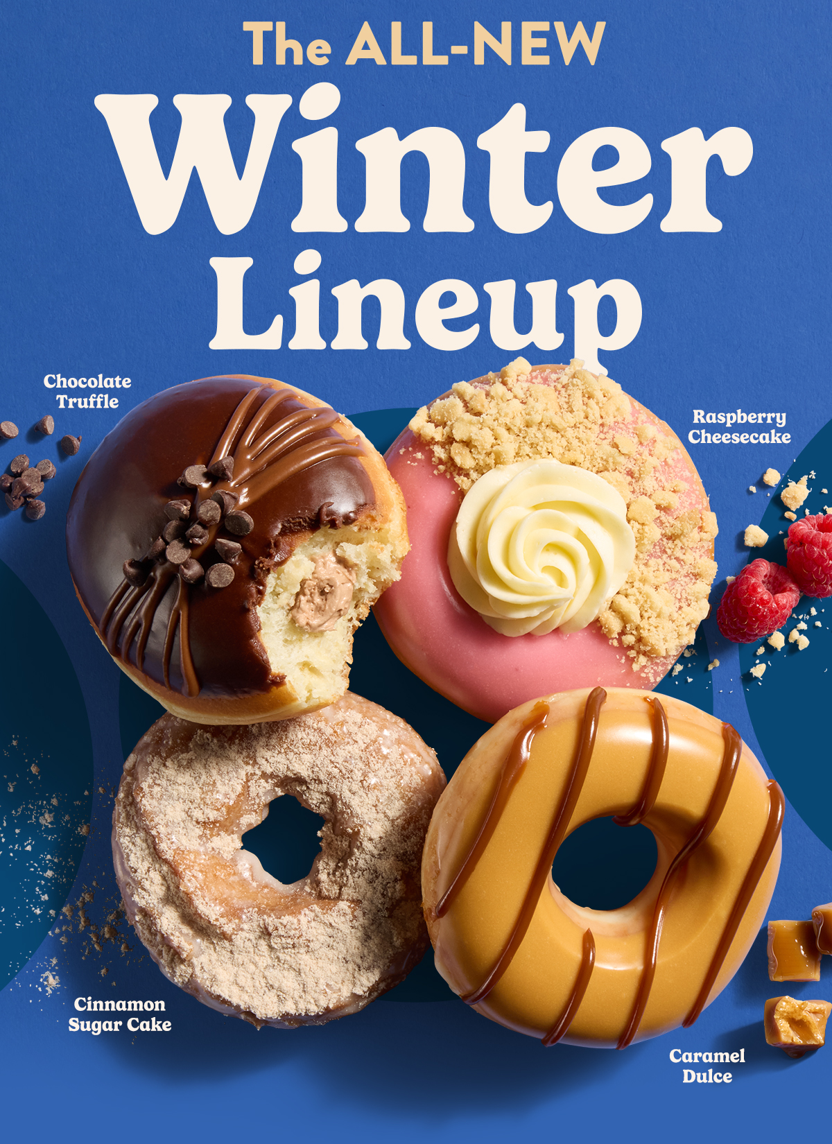 Winter seasonal doughnuts featuring Cinnamon Cake, Chocolate Truffle, Caramel Drizzle, and Raspberry Cheesecake.