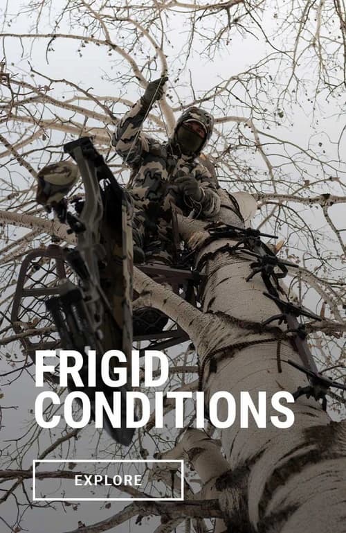 Fridged