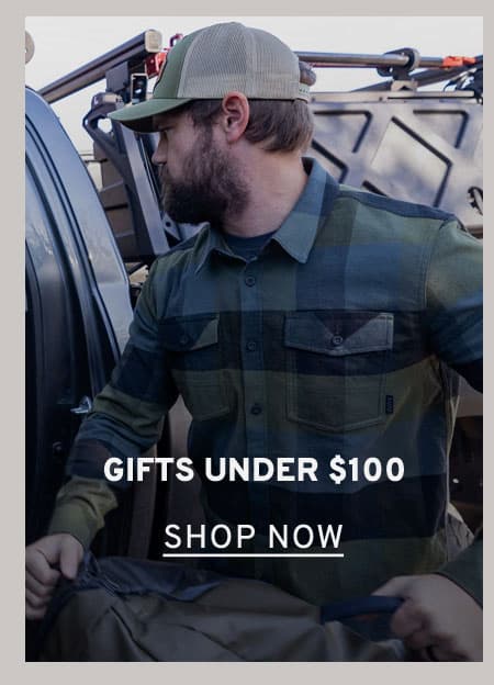 Gifts Under $100