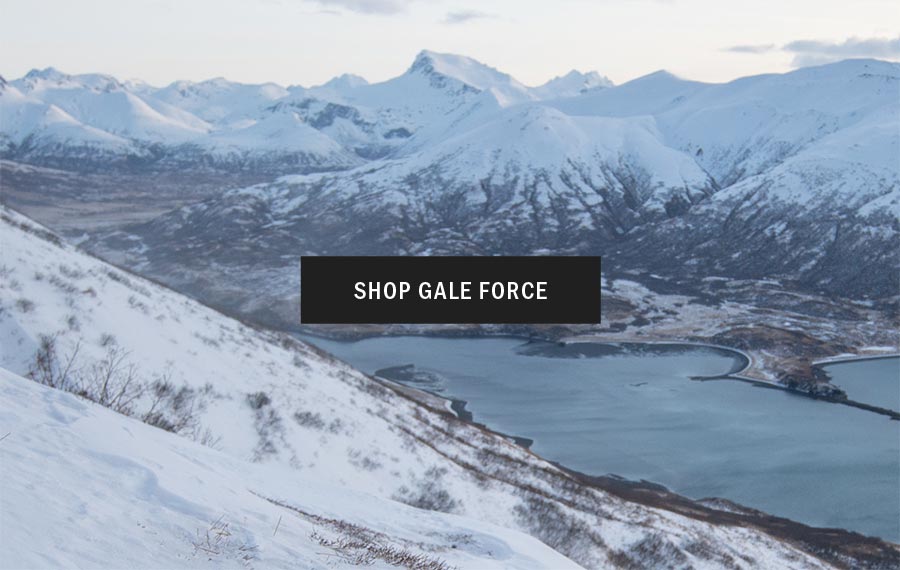 GALE FORCE