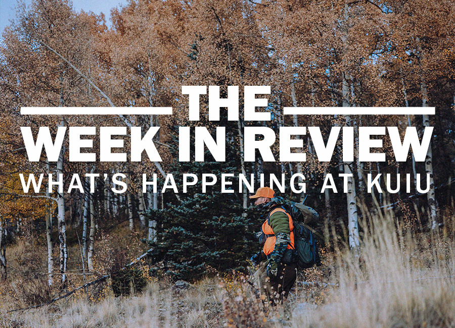 The Week in Review