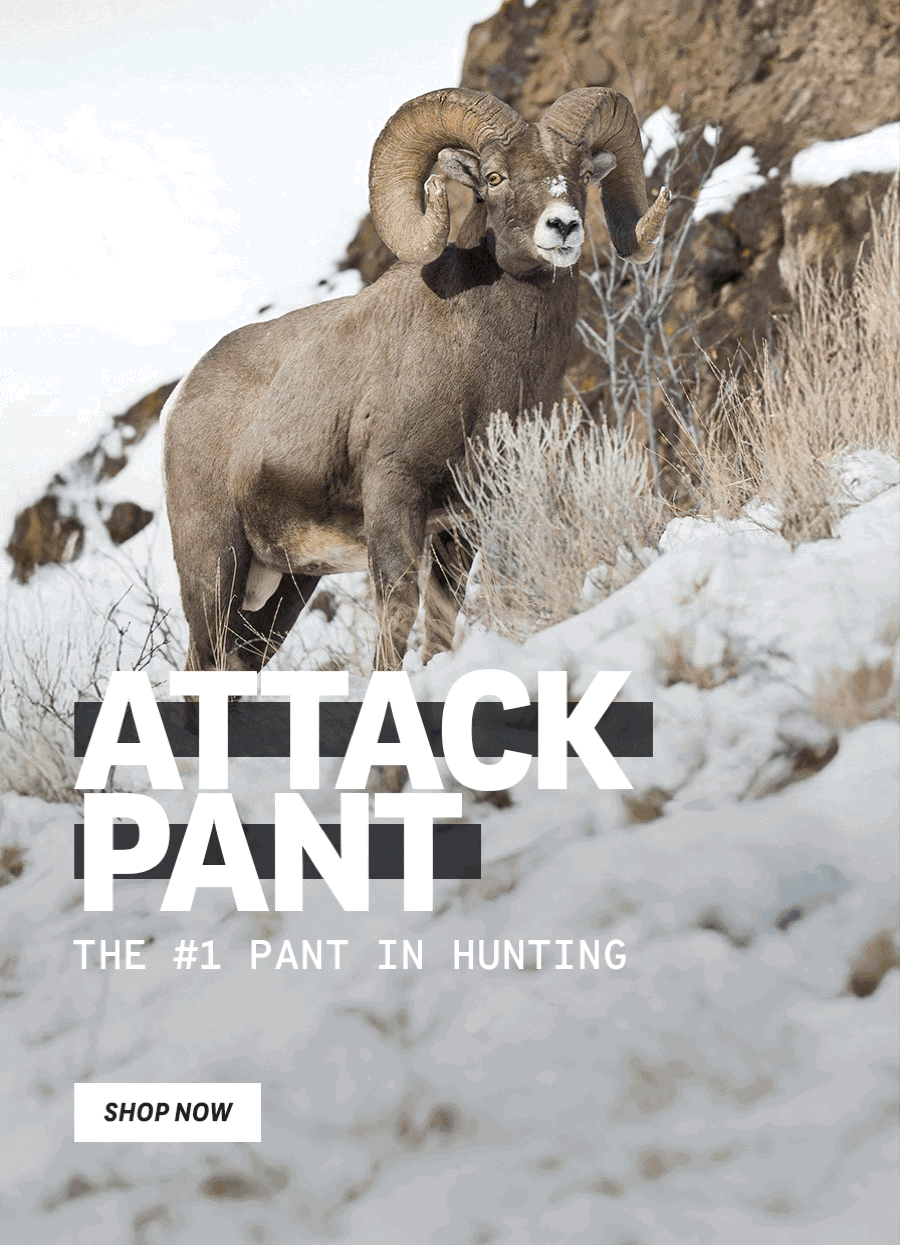 Attack Pant