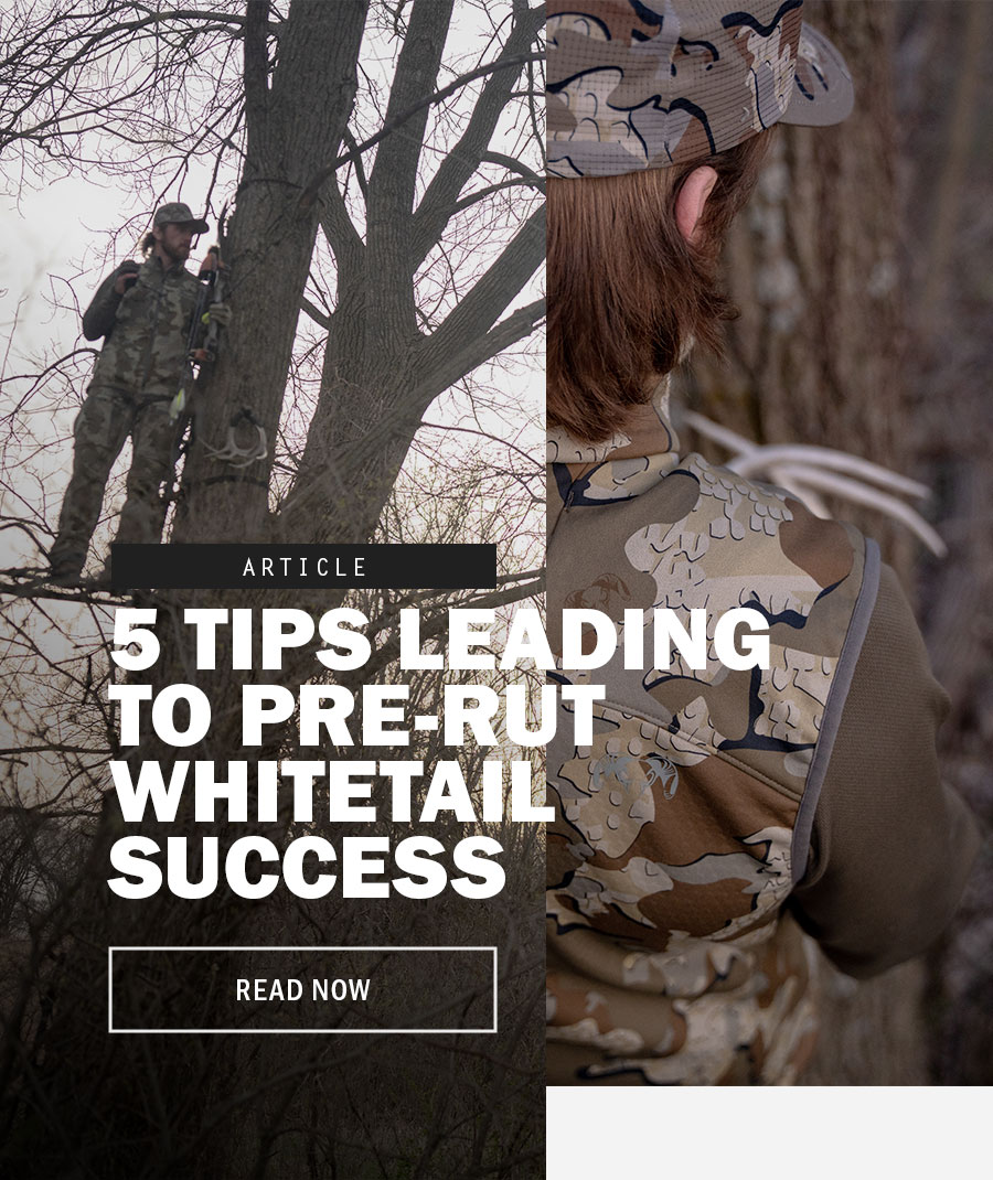 5 Tips Leading To Pre-Rut Whitetail Success
