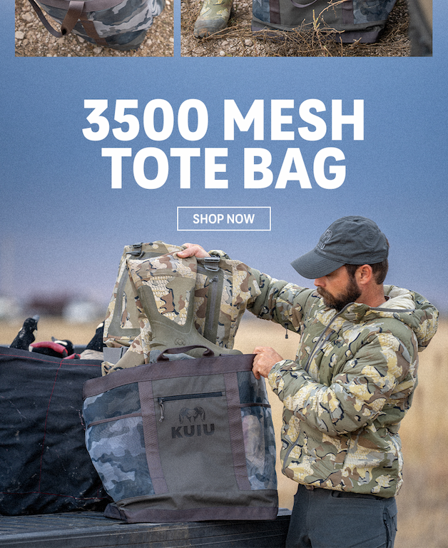 Mesh Tote