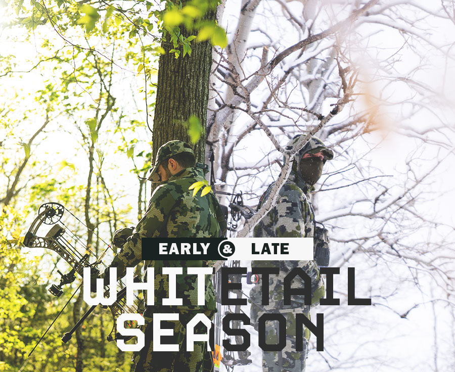 Whitetail