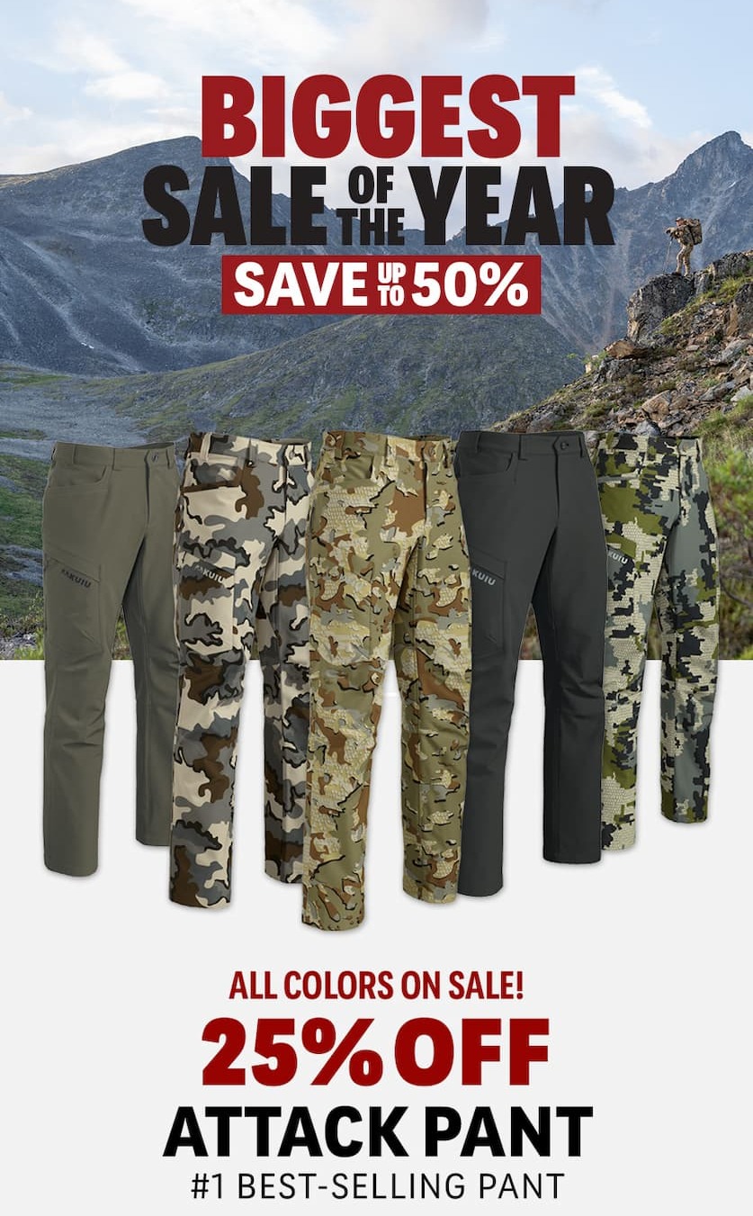 Biggest Sale of the Year