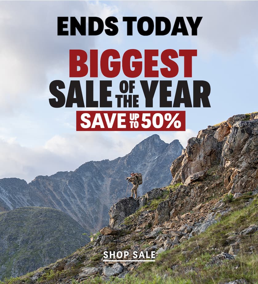 Biggest Sale of the Year