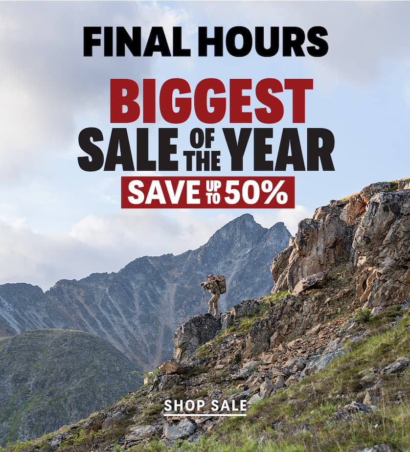 Biggest Sale of the Year
