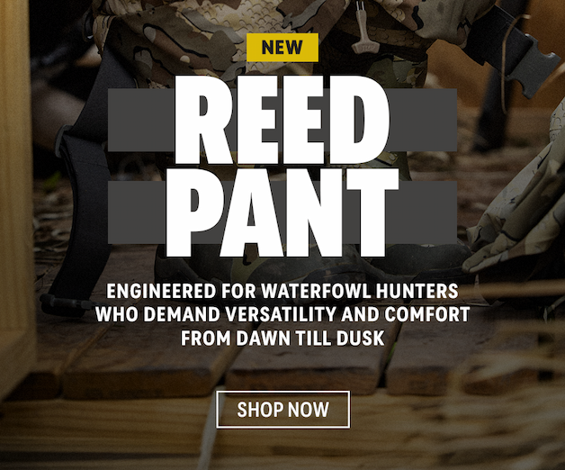Reed Pant