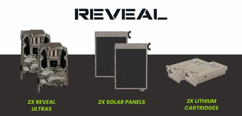 The Reveal Rut Giveaway