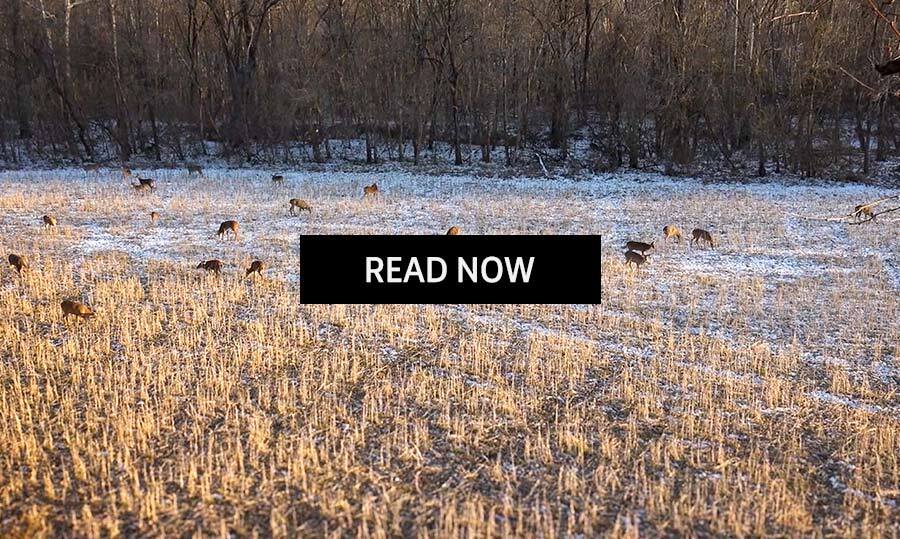 Post Rut Strategies