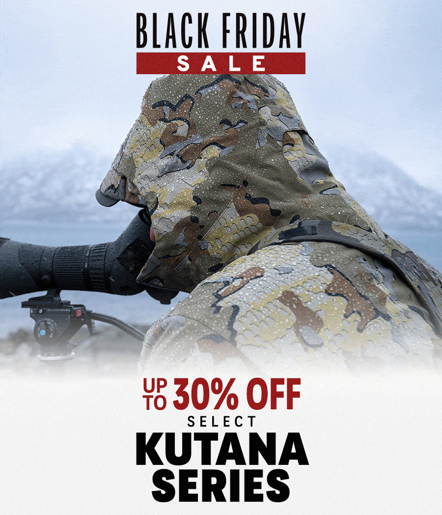 Black Friday Sale