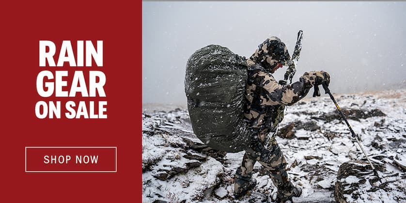 Black Friday Sale