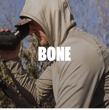 Bone Solids