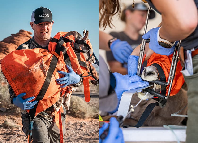KUIU Conservation Direct