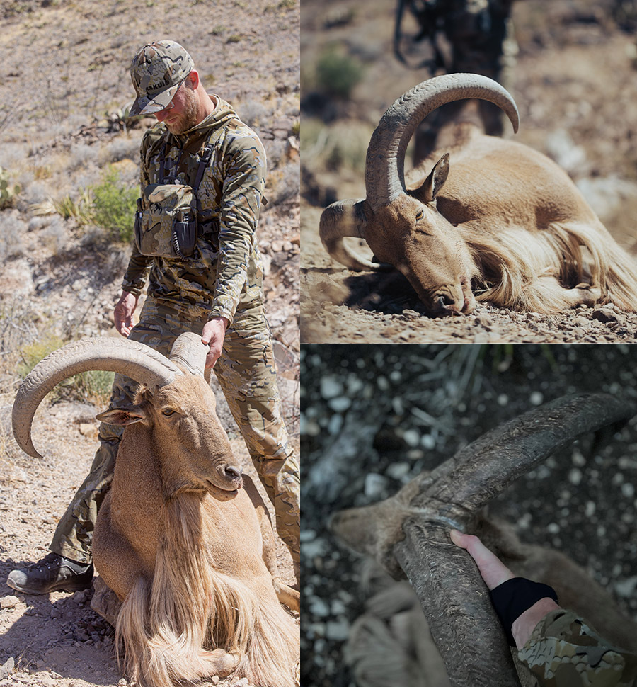 Aoudad Gear List