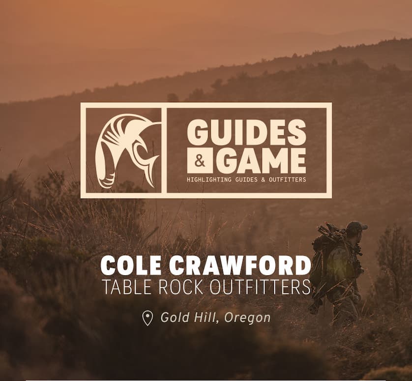 Guides & Game