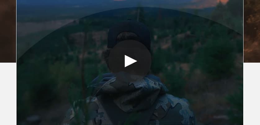 Guides & Game