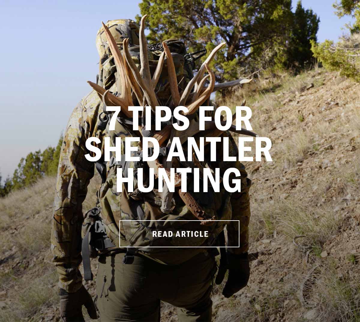Shed Hunting