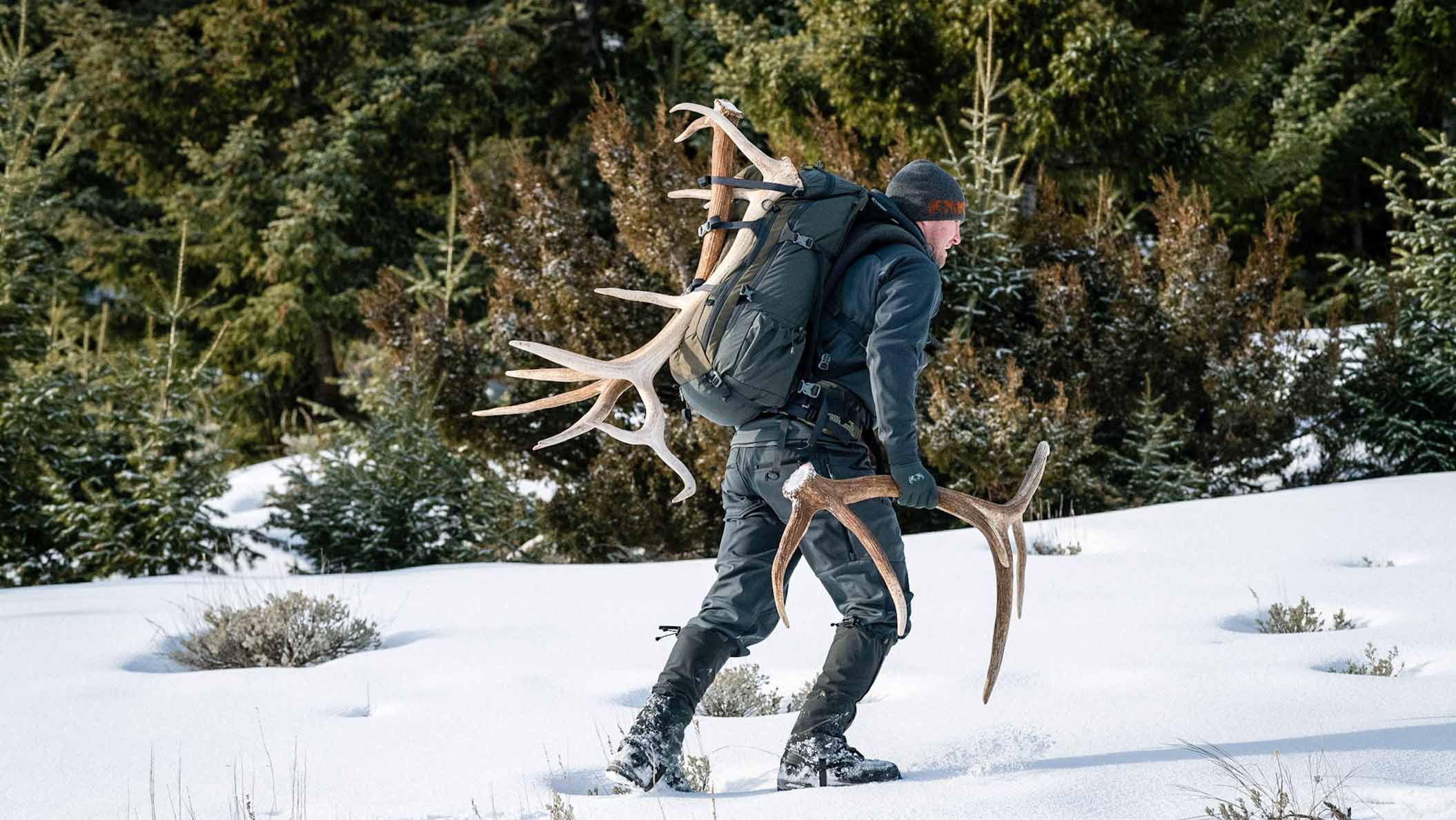 Shed Hunting