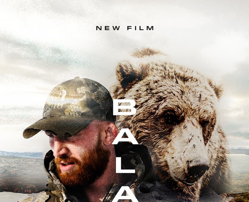 Balance Brown Bear