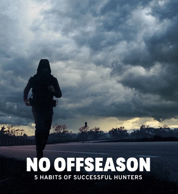 No Offseason