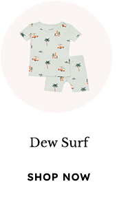Shop Dew Surf