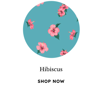 Hibiscus